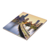 Carreau Vue de la mandarine Miami oriental avec la (Côté)