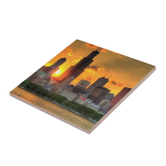 Carreau Vue de l'horizon de Chicago d'Adler (Côté)