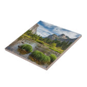 Carreau Vue de vallée en parc national de Yosemite (Côté)