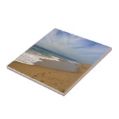 Carreau Vue depuis le Wedge, Newport Beach, Californie (Côté)