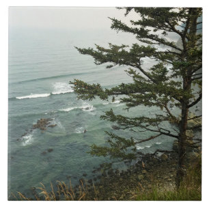 Carreau Vue depuis Simpson Reef Overlook, côte de l'Oregon