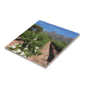 Carreau Vue des vignobles. Stellenbosch (Côté)