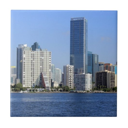Carreau Vue d'horizon de Miami (Devant)
