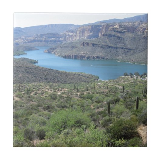 Carreau Vue du lac Apache (Devant)