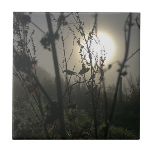 Carreau Vue grand en petite impression photo (Devant)