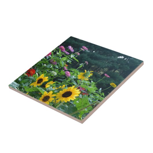 Carreau Vue jardin tournesols marguerites verdure forêt (Côté)