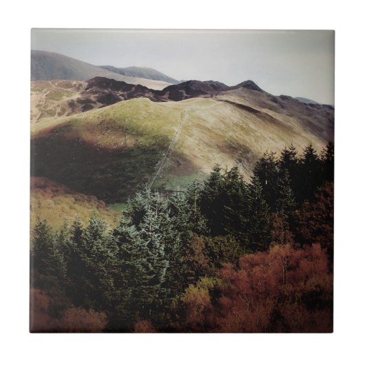 CARREAU VUE MONTAGNE SUR LES WALES (Devant)
