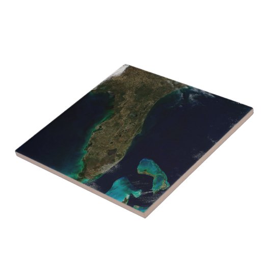 Carreau Vue Satellite Sur La Floride. (Côté)