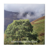 CARREAU VUES DES ALLES (Devant)