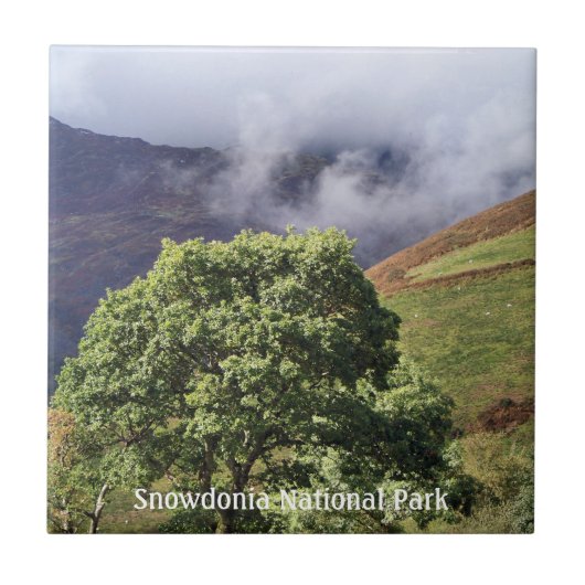 CARREAU VUES DES ALLES (Devant)