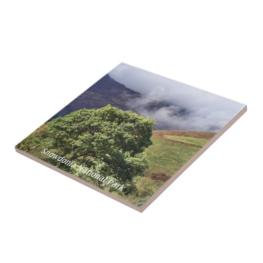 CARREAU VUES DES ALLES (Côté)