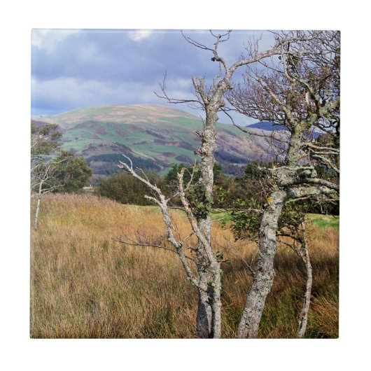 CARREAU VUES DES ALLES (Devant)