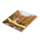 CARREAU VUES DES ALLES (Côté)