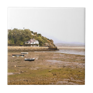 CARREAU VUES DES ALLES