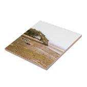 CARREAU VUES DES ALLES (Côté)