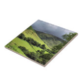 CARREAU VUES SUR WALES UK (Côté)