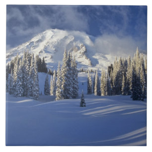 Carreau WA, Mt Rainier NP, Mt Rainier et Paradise