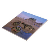 Carreau WA, Olympic NP, Second Beach avec piscines et (Côté)