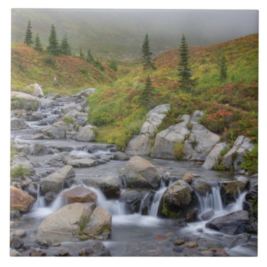 Carreau WA, Parc national du Mont-Rainier, ruisseau Edith (Devant)