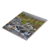 Carreau WA, Parc national du Mont-Rainier, ruisseau Edith (Côté)