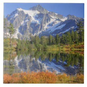 Carreau WA, région récréative de Heather Meadows, Mt.