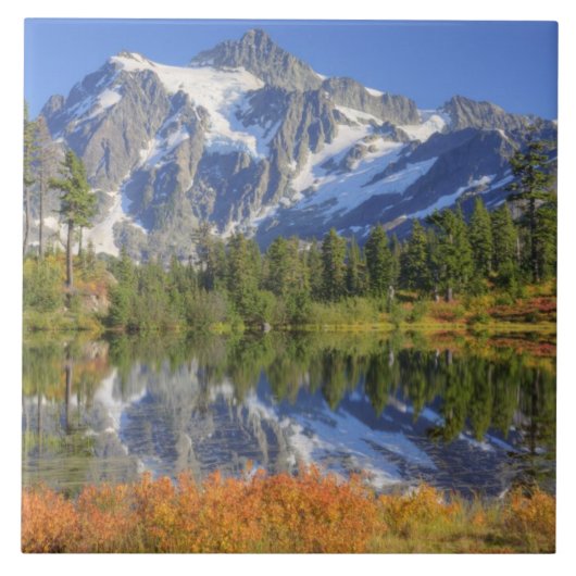 Carreau WA, région récréative de Heather Meadows, Mt. (Devant)