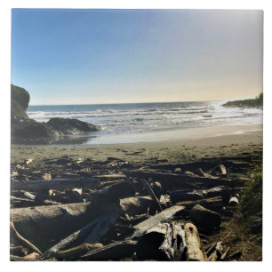 Carreau Waikiki Beach, cape Disappointment, Washington