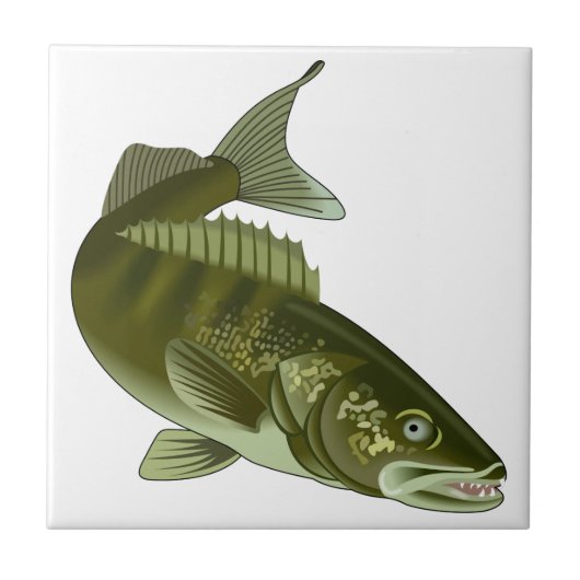Carreau Walleye (Devant)
