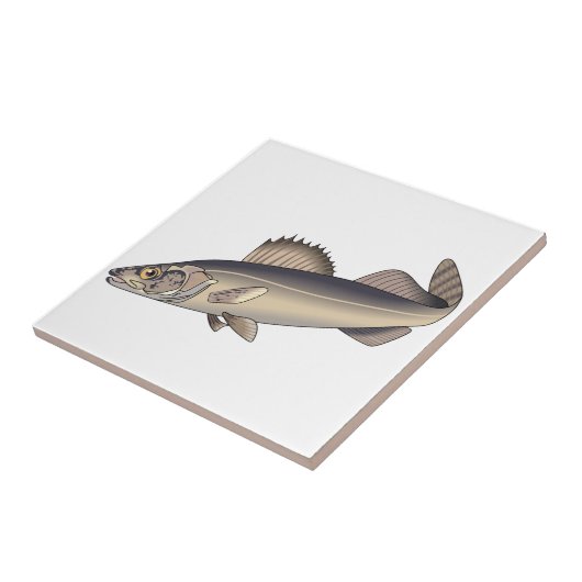 Carreau Walleye Fish (Côté)