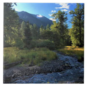 Carreau Wallowa Lake State Park, OR