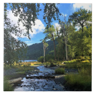 Carreau Wallowa Lake State Park, OU