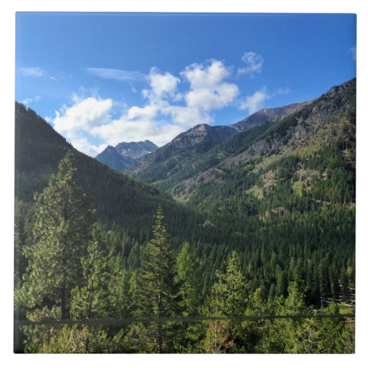 Carreau Wallowa mountains (Devant)