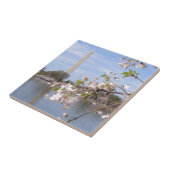 Carreau Washington Monument de beaux cadeaux (Côté)