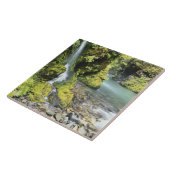 Carreau Washington, Olympic National Park, saison (Côté)