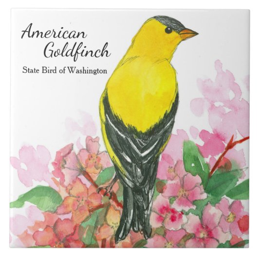 Carreau Washington Souvenir American Goldfinch Jaune (Devant)