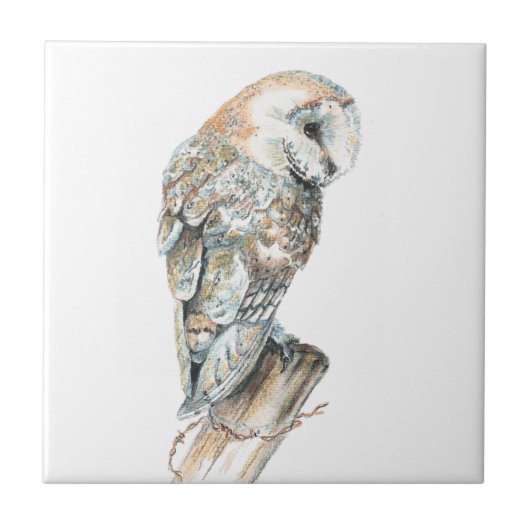 Carreau Watercolor Barn Owl Bird Art (Devant)