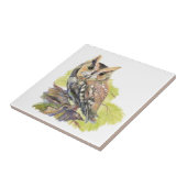 Carreau Watercolor Screech Owl Bird Wildlife (Côté)