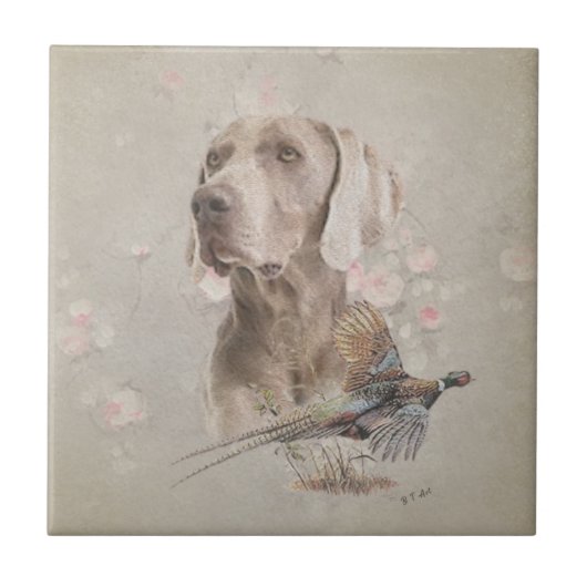 Carreau Weimaraner (Devant)