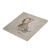 Carreau Weimaraner (Côté)