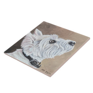 Carreau Westie Recherche vers le profil B