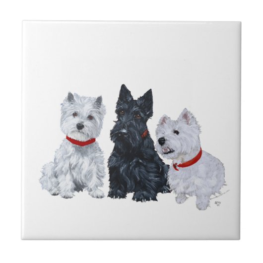 Carreau Westies and a Scottie Together (Devant)