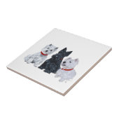 Carreau Westies et un Scottie ensemble (Côté)