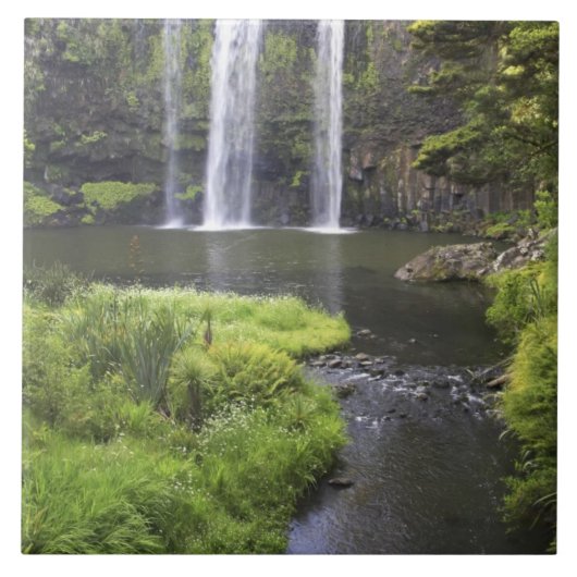 Carreau Whangarei Falls, Whangarei, Northland, New 2 (Devant)