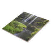 Carreau Whangarei Falls, Whangarei, Northland, New 2 (Côté)