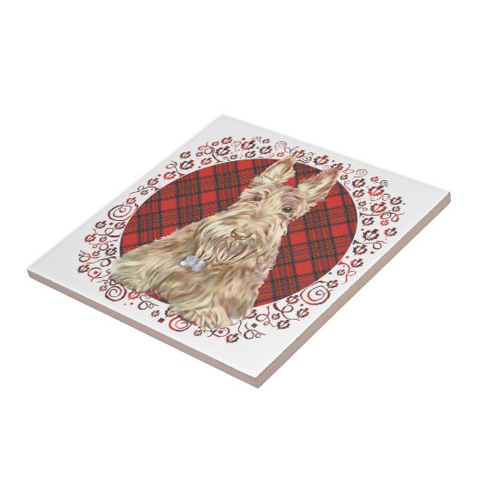 Carreau Wheate Tartan (Côté)