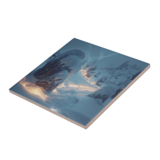 Carreau Where Light Wanders in Winter (Côté)