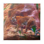 Carreau Whiff de Wilderness (Devant)