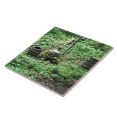 Carreau Whiskey Toujours à Mabry Mill, Virginie (Côté)