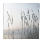 Carreau Whisper du matin<br><div class="desc">Morning Whisper II par Sharon Chandler.</div>