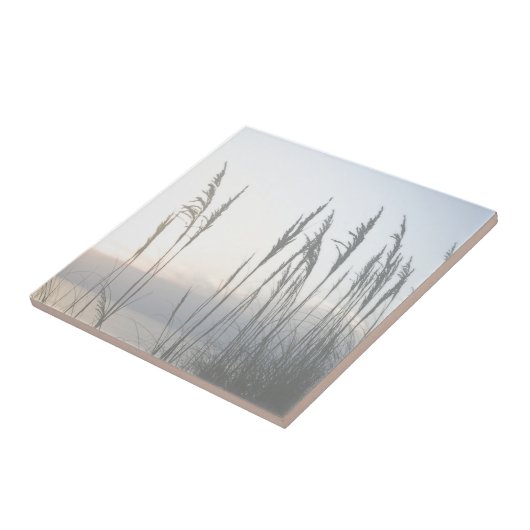 Carreau Whisper du matin (Côté)